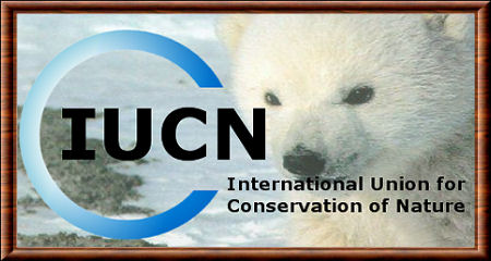 Job for Finance Intern at International Union for Conservation of Nature