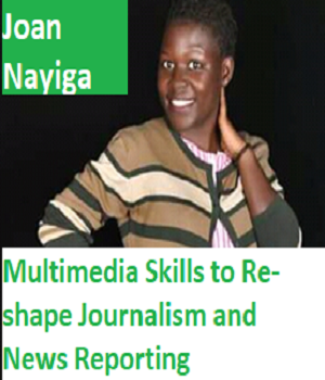 Multimedia skills