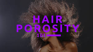 How to know your Hair Porosity