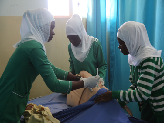 4 New Nursing Courses Approved at IUIU Females’ Campus Nursing School by National Council for Higher Education