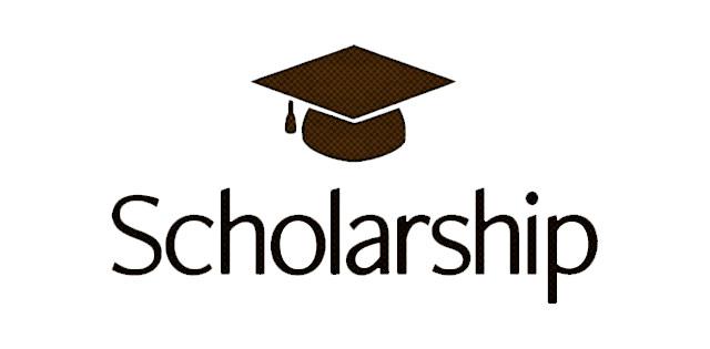 Maynooth University Sports Scholarship