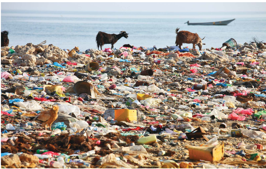 Plastic products on the shores of lake Victoria in Uganda